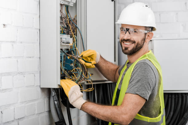 Best 24-Hour Electrician  in Lake Catherine, IL