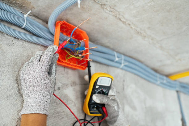 Best Home Electrical Repair  in Lake Catherine, IL